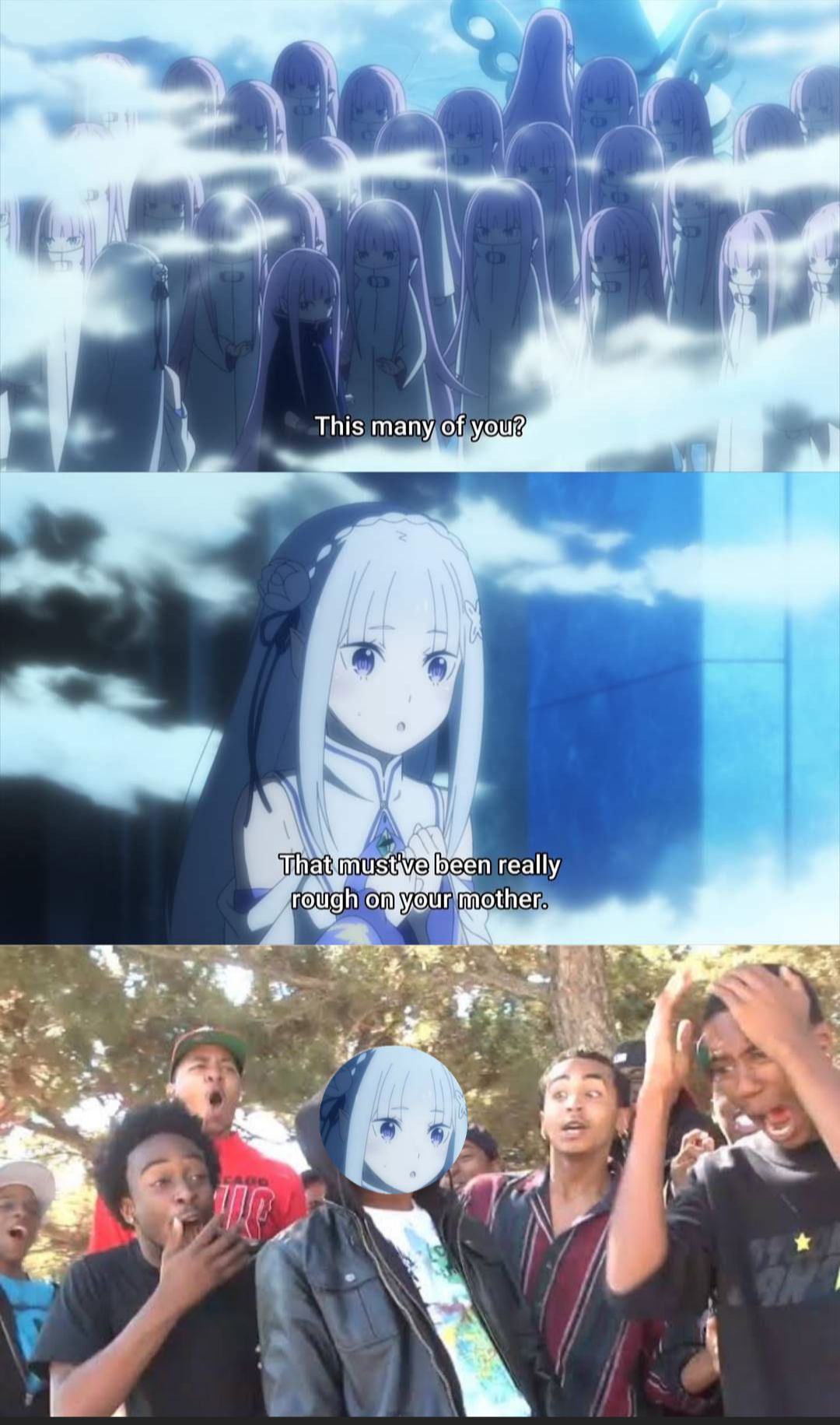 Re Zero #291