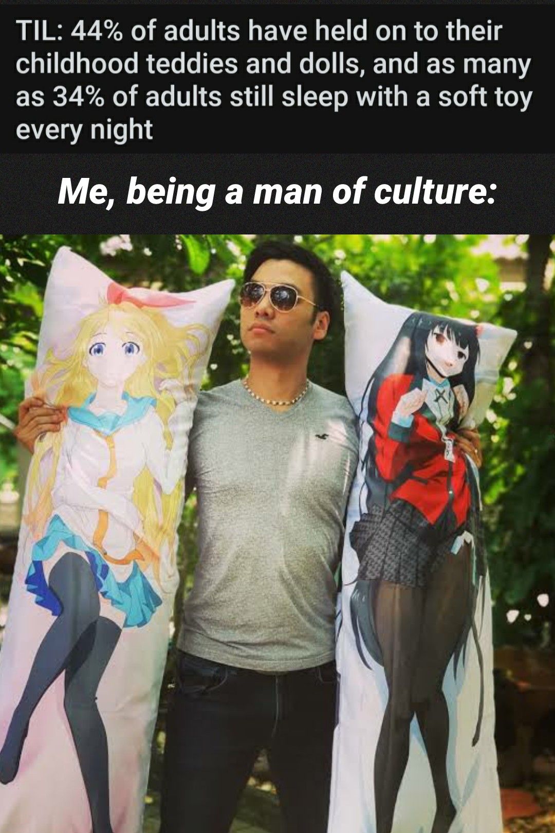 Weebs are those 34% Adults