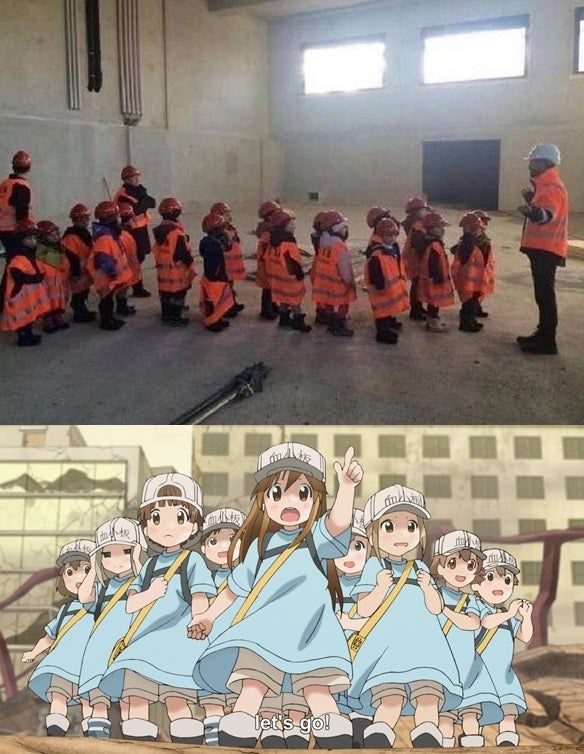 Hataraku Saibou #90