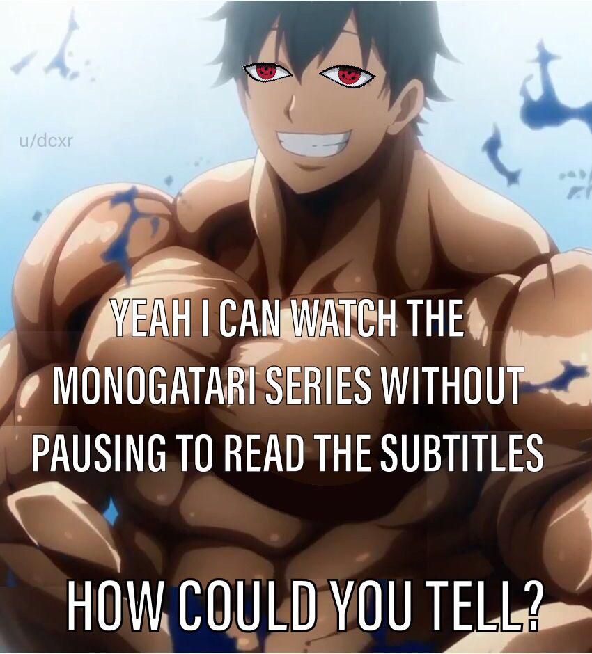 Monogatari Series #69