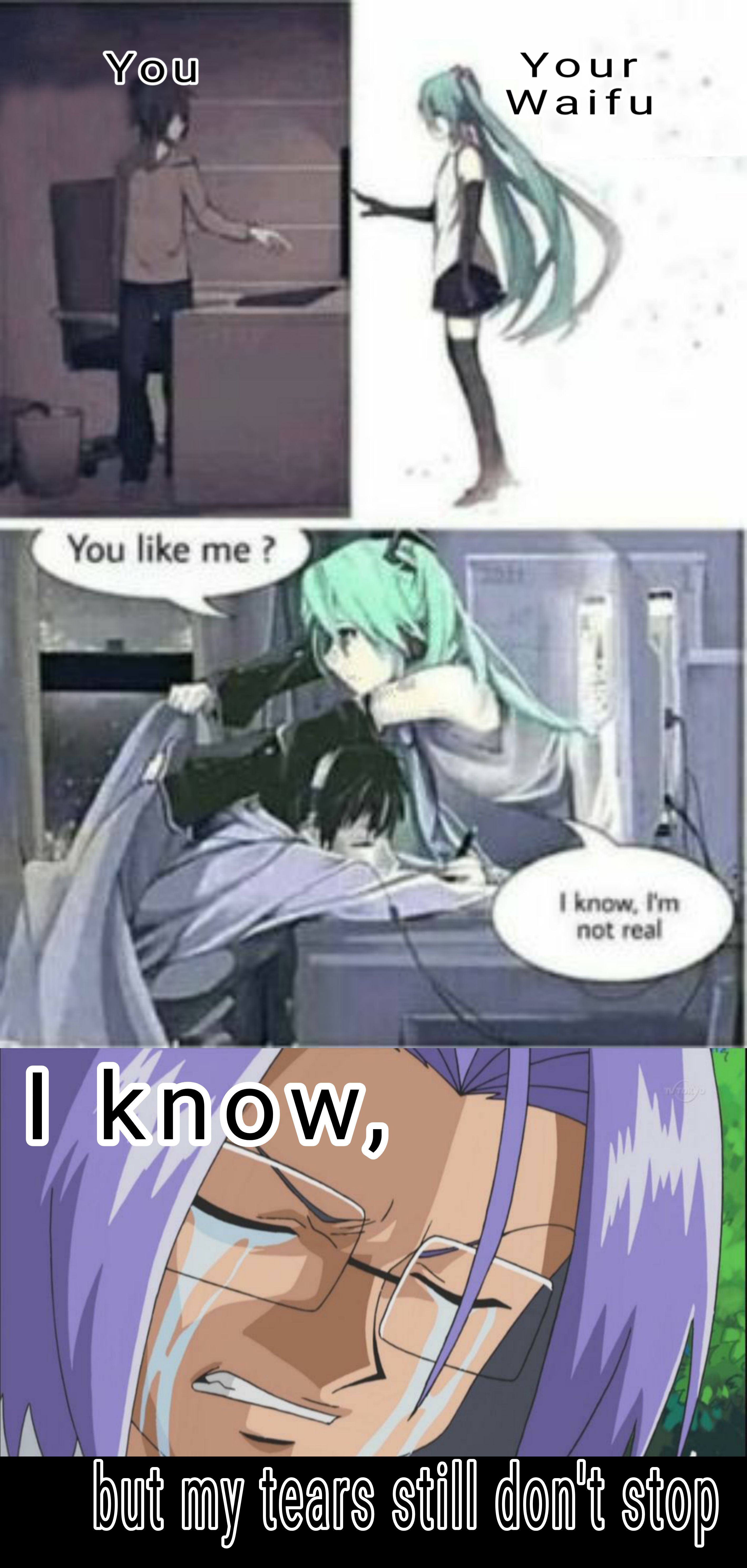 Becoming a Scientist to Make my Waifu Real