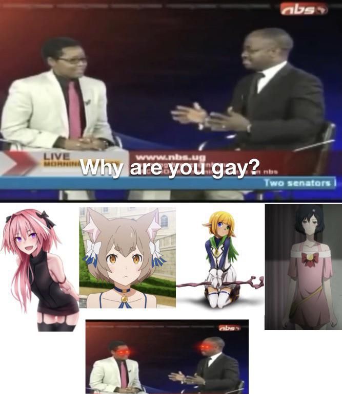 Why arent YOU Gay?