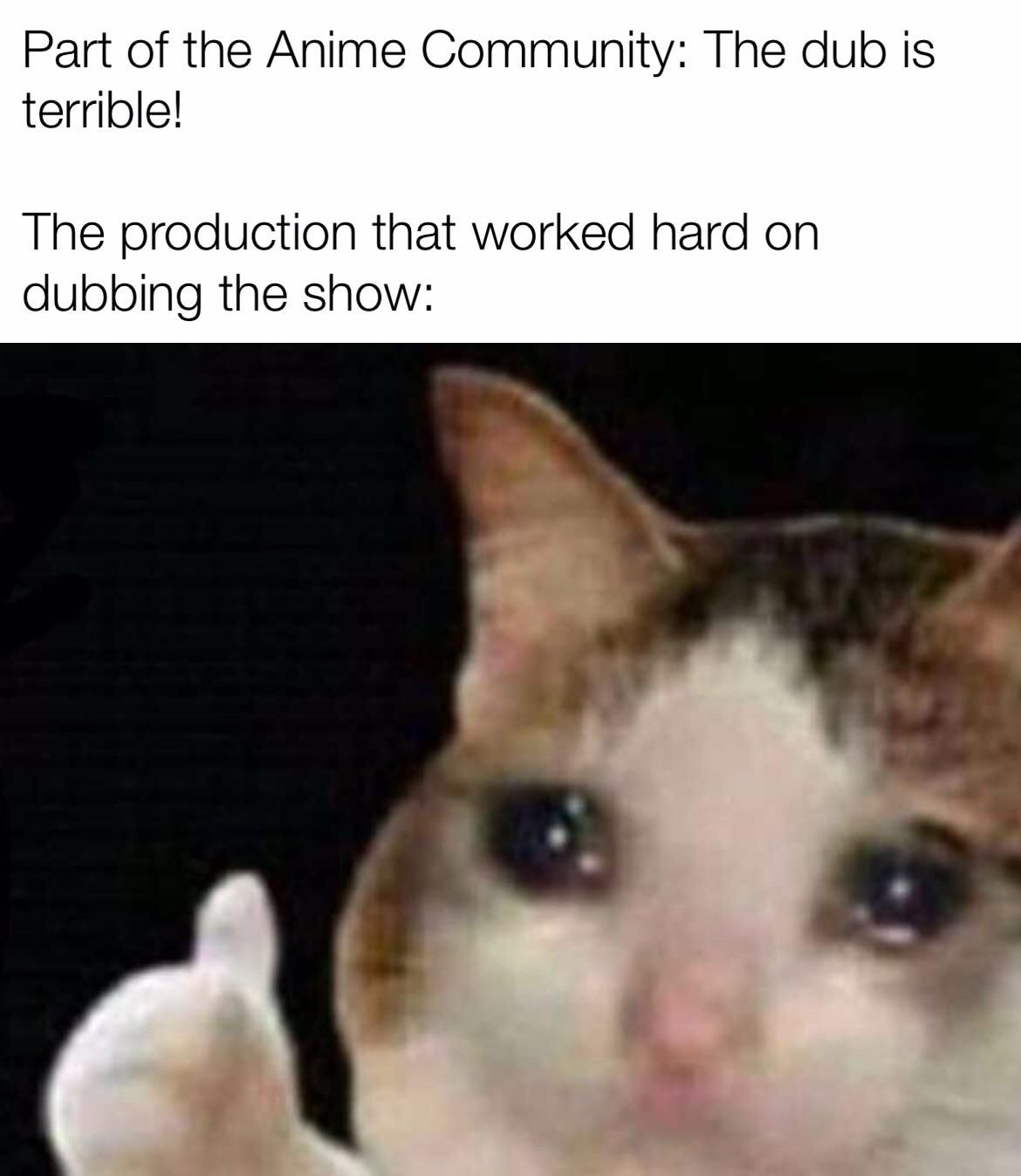 Wtf! I have Stopped Disliking the Dubs Now