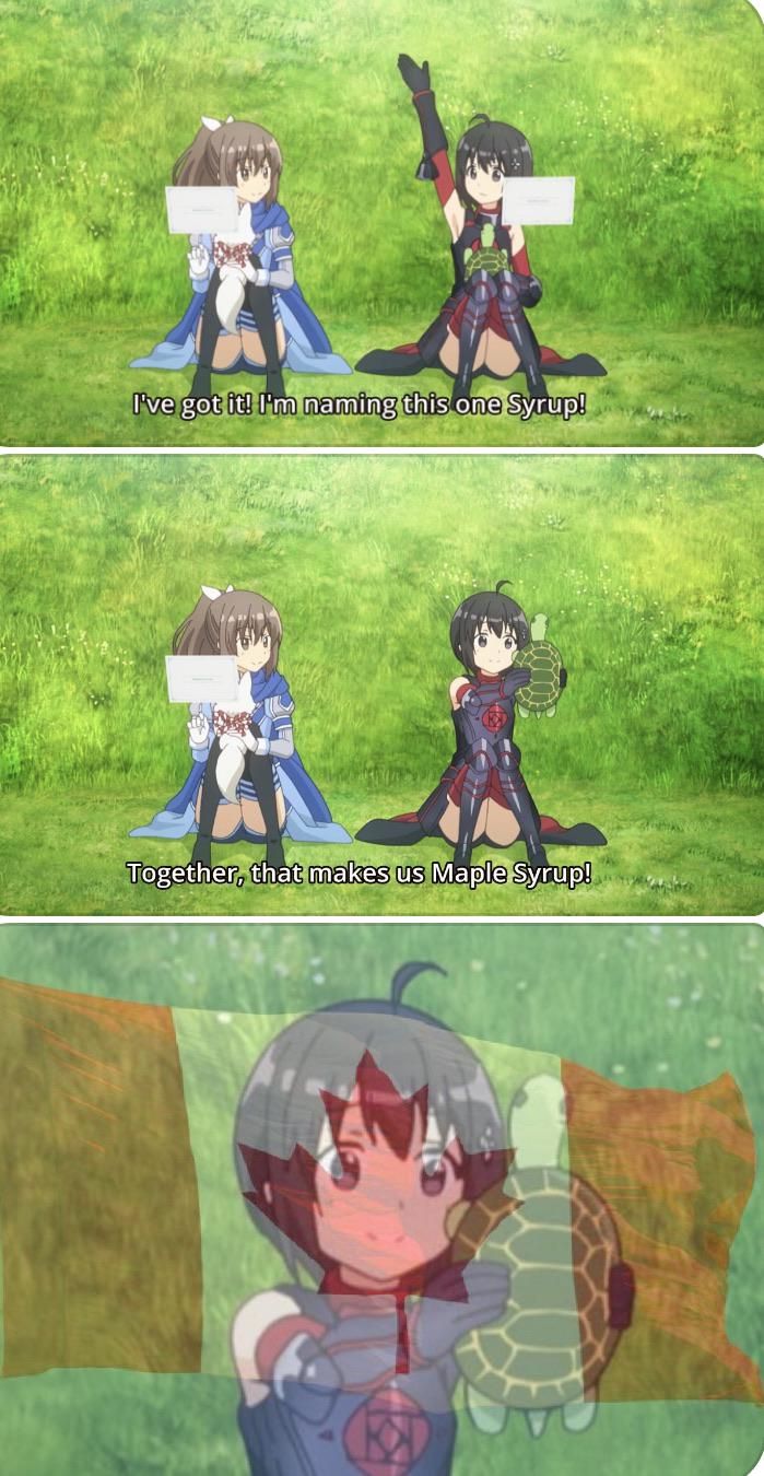 Bofuri #12