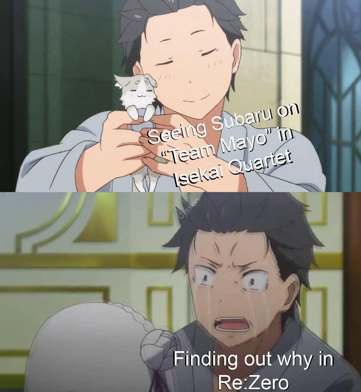 Re Zero #187