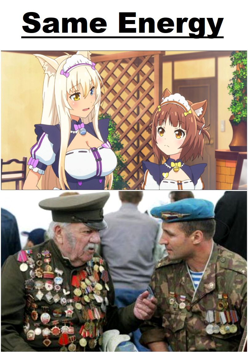 Nekopara #13