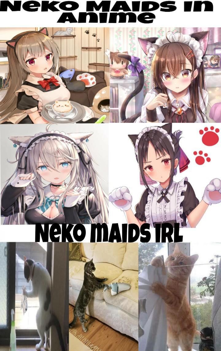 Thats so Cute Not Gonna Lie