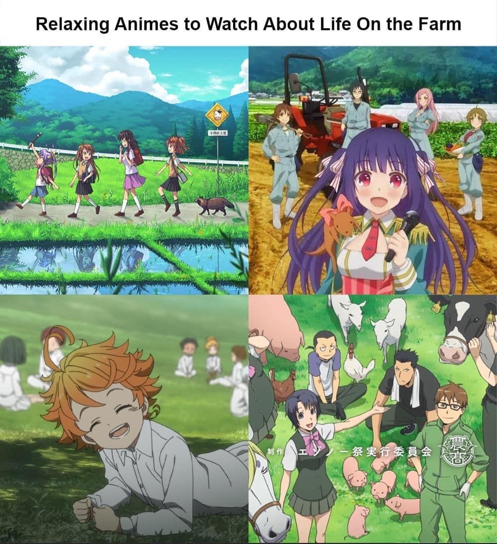 The Promised Neverland #17