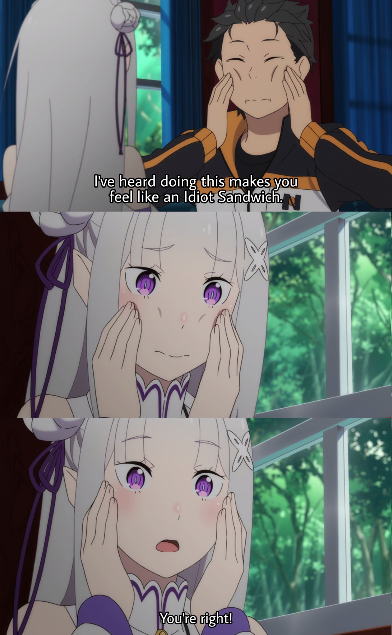 Re Zero #153