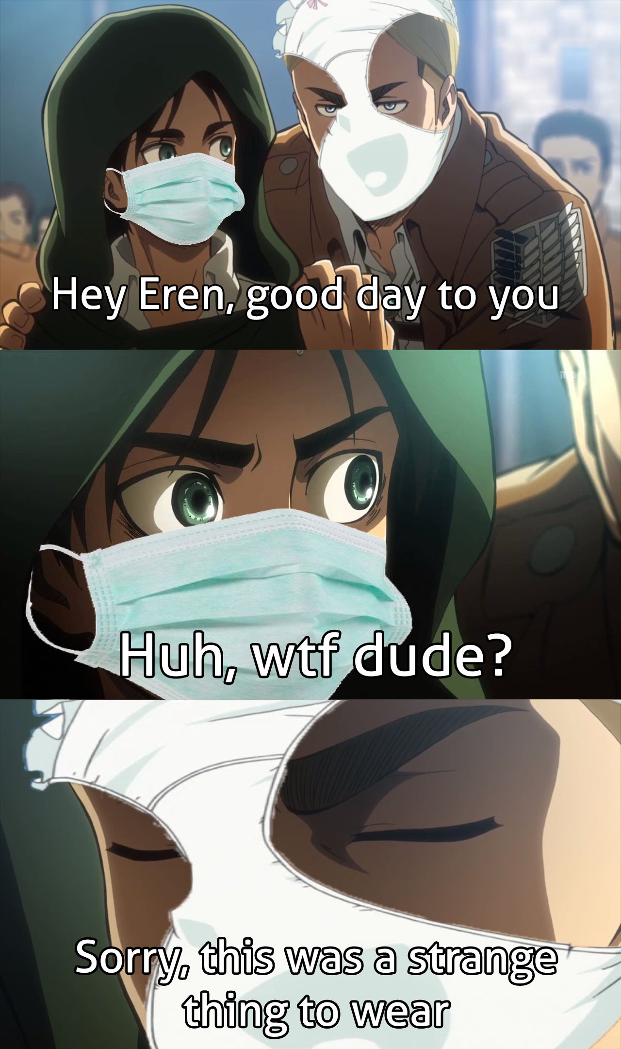 Erwin Meme #30