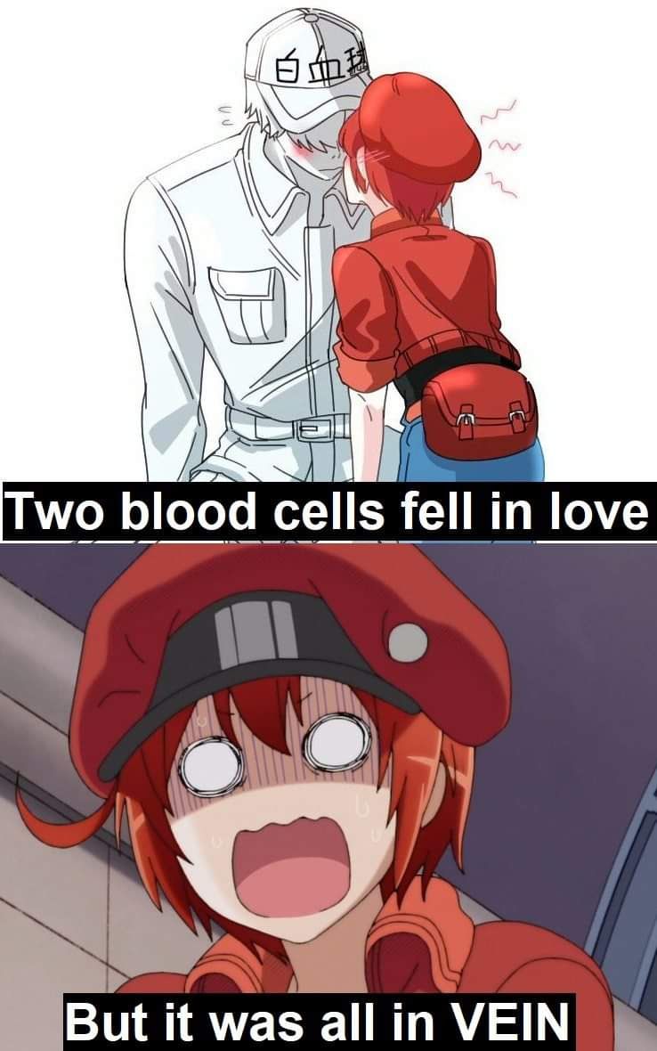 Hataraku Saibou #84