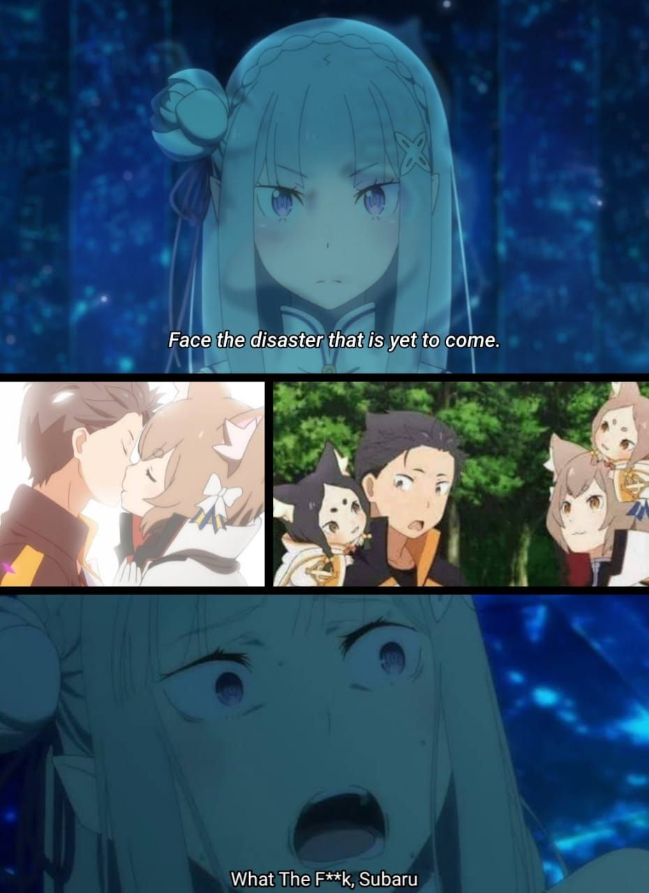Re Zero #306