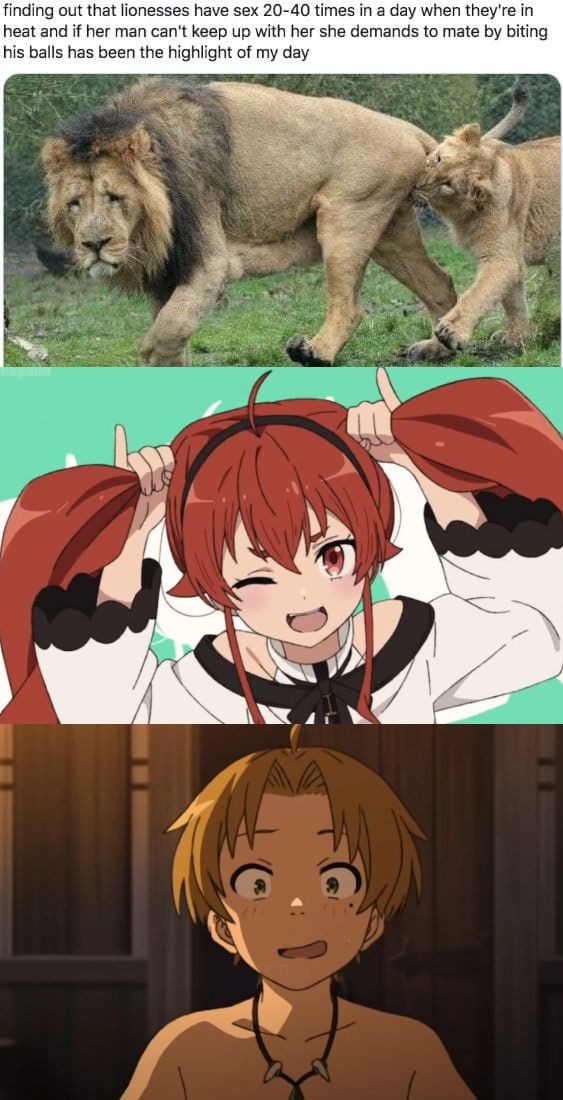 Mushoku Tensei #17