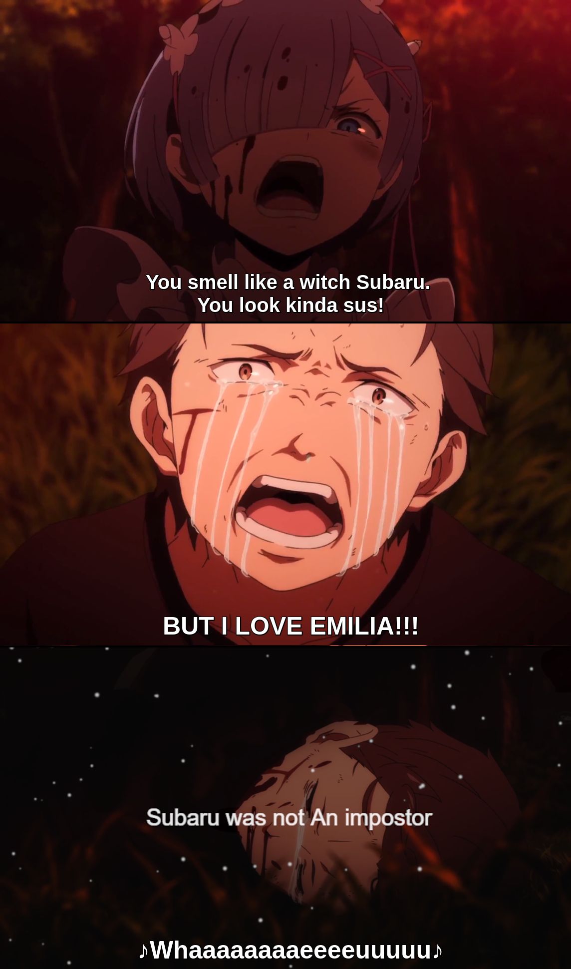 Re Zero #213