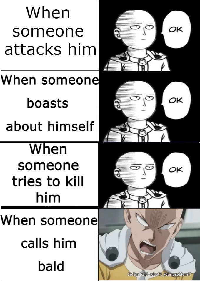 One Punch Man #148
