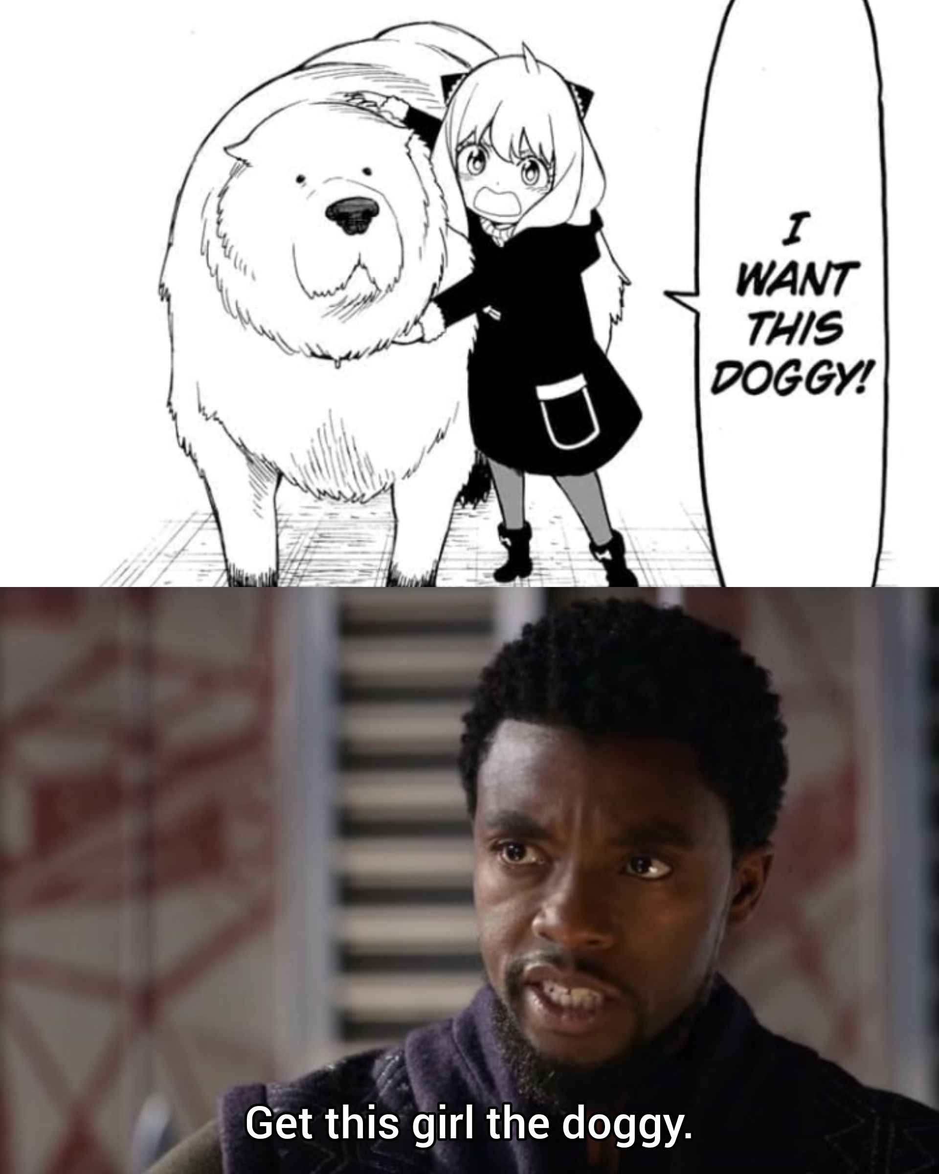 Spy x Family #2