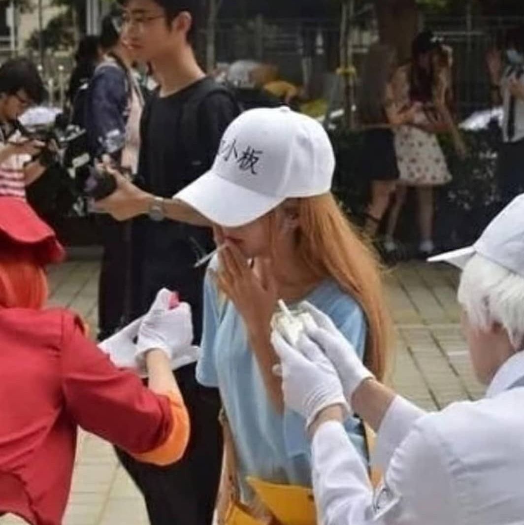 Hataraku Saibou #104