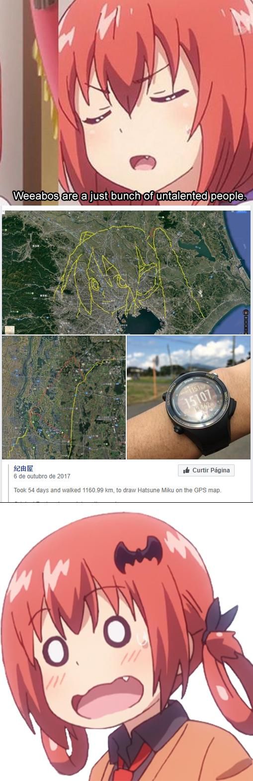 Yeah Cool....... BUT WHY