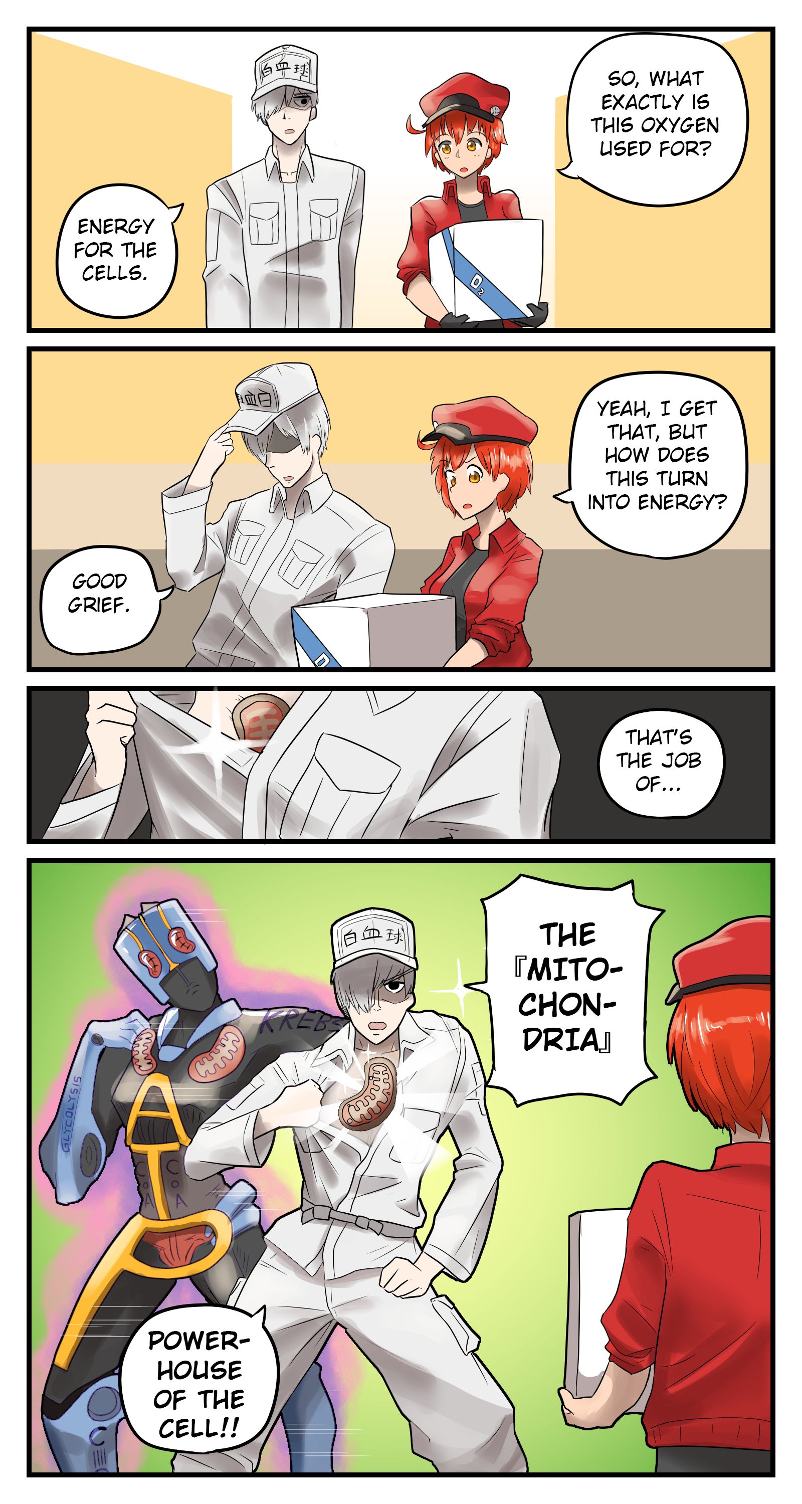 Hataraku Saibou #85