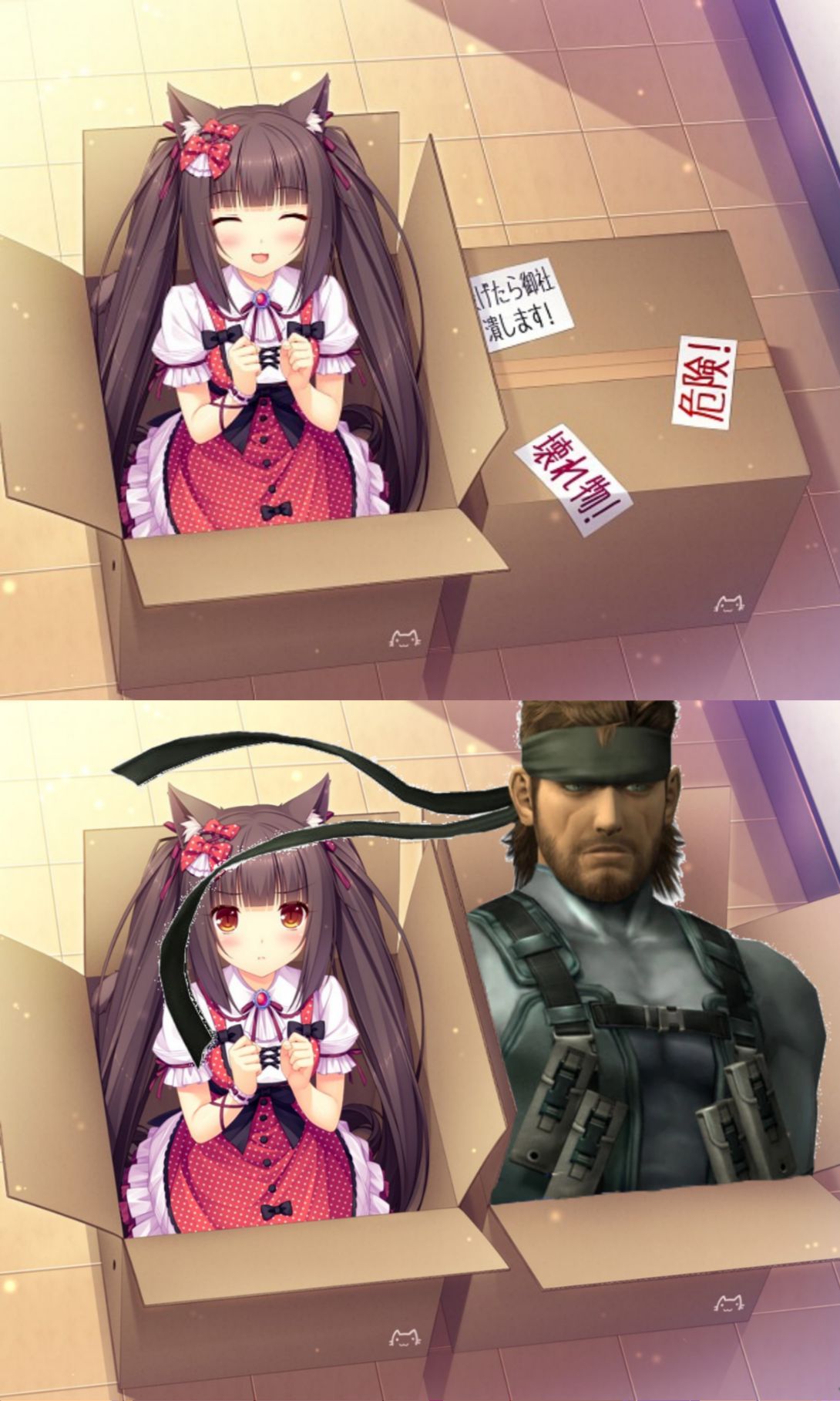 Nekopara #8