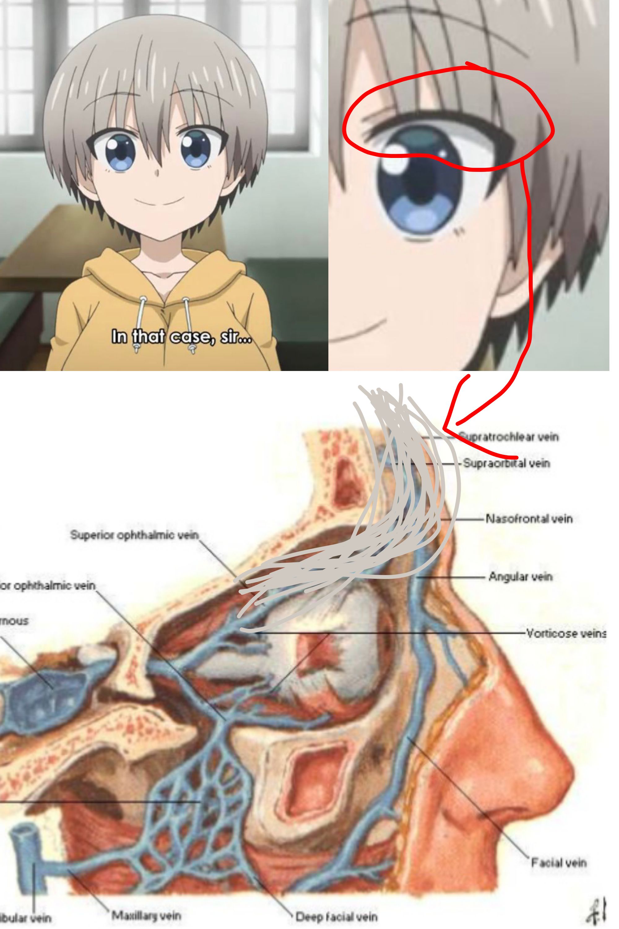 Uzaki-chan wa Asobitai #2