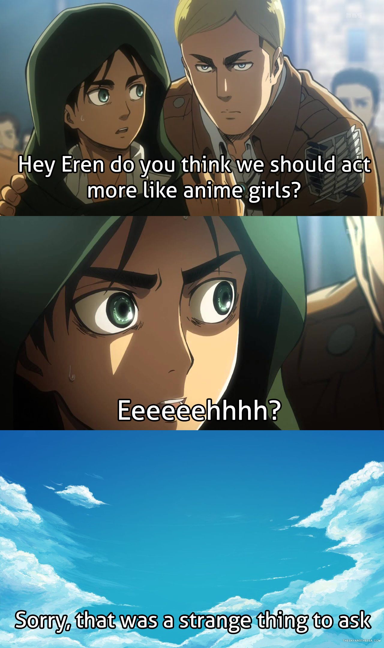 Erwin Meme #28