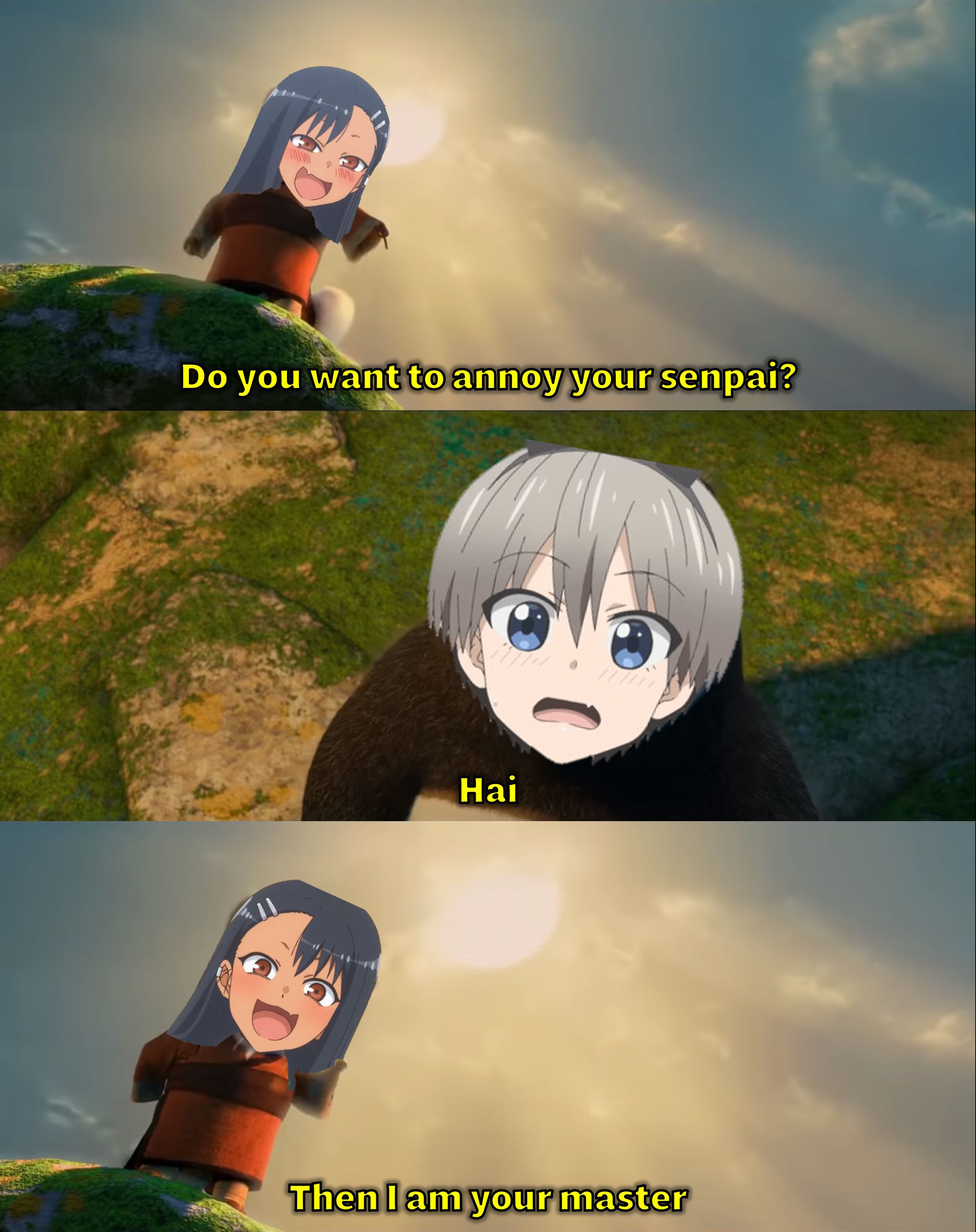 The Teasing Shifu