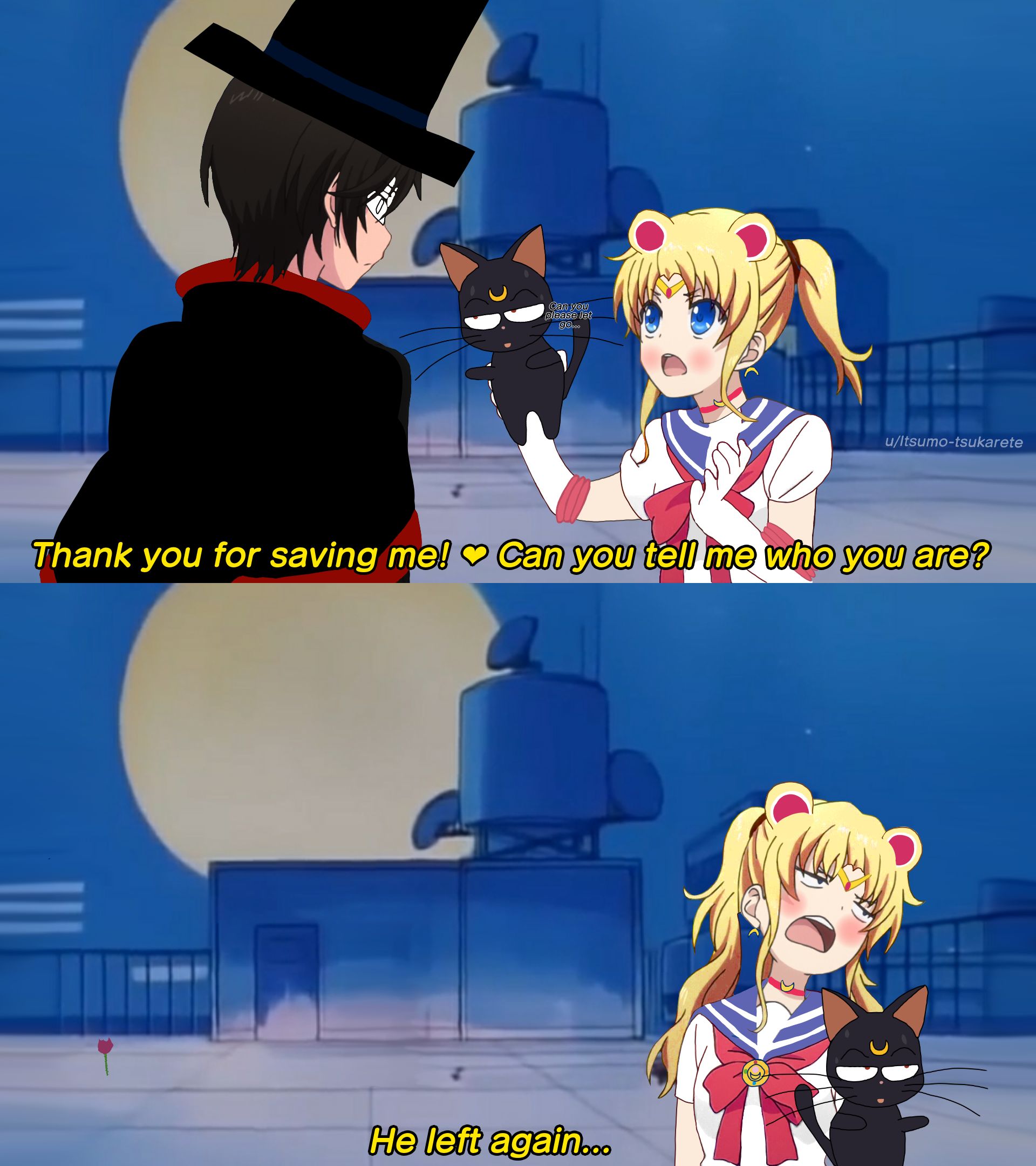 Sailor Moon #20