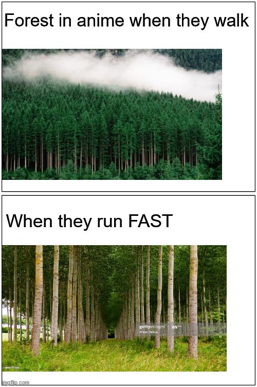 The Path is Carved for the Main Character