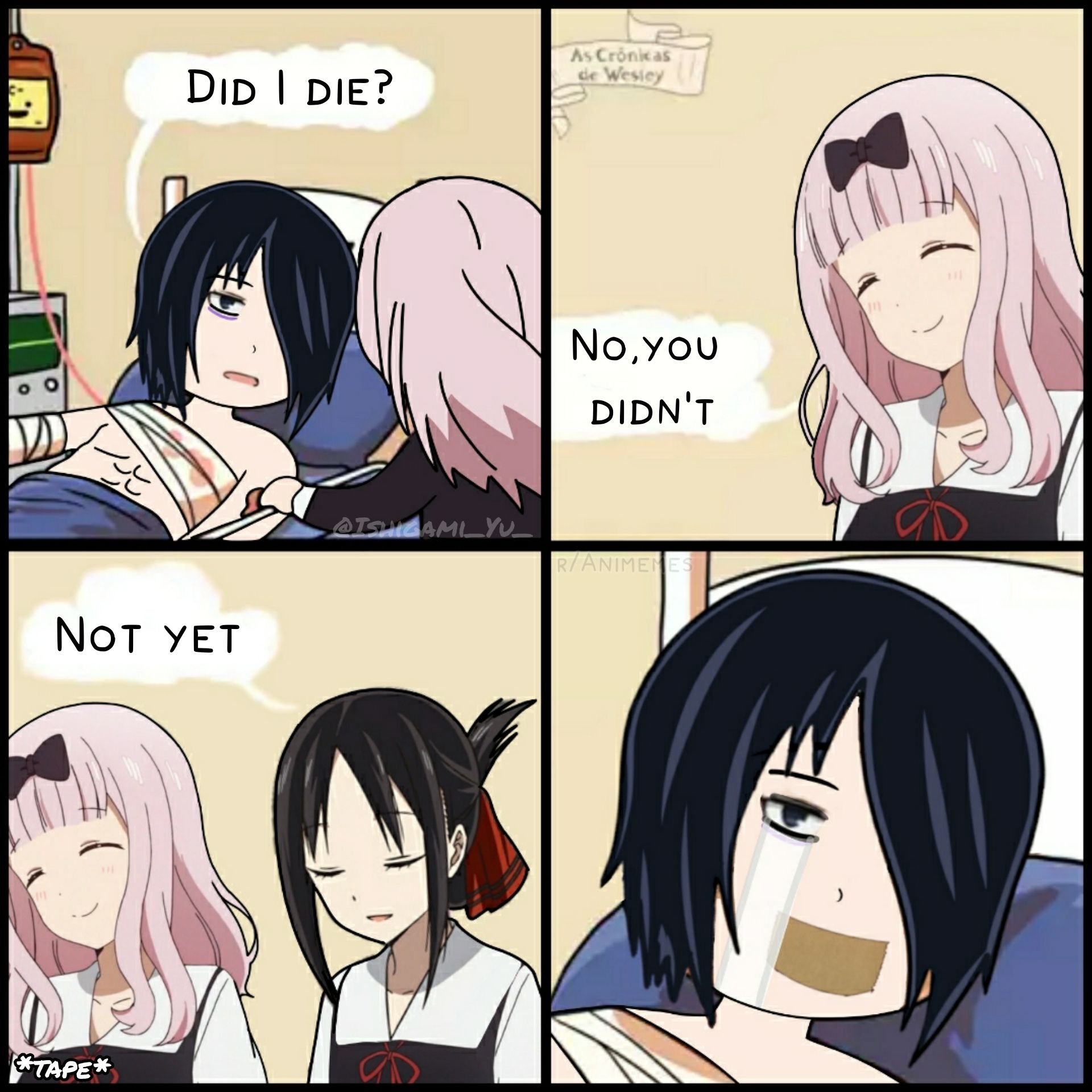 Kaguya-sama Love is War #224