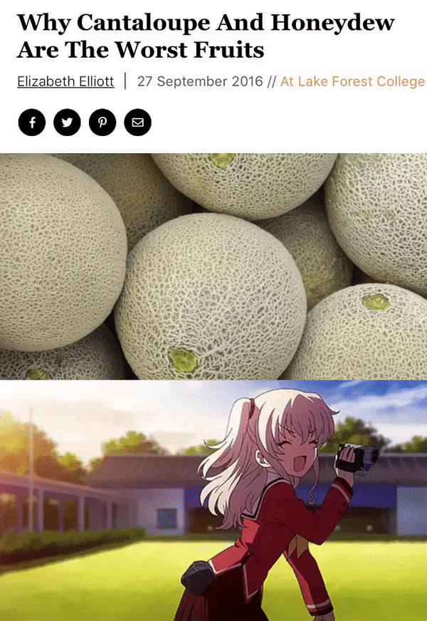 Charlotte #19