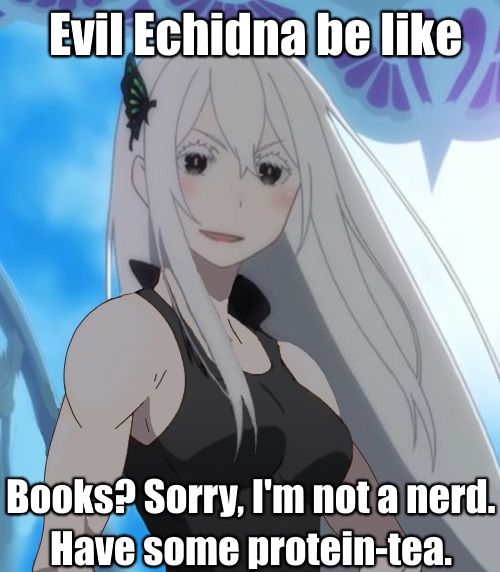 Re Zero #324