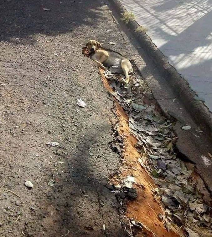 When Villian Hits the MC in Shounen Anime